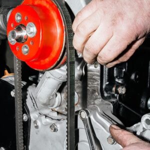 Flat Drive Belt – immagine fonte TVH